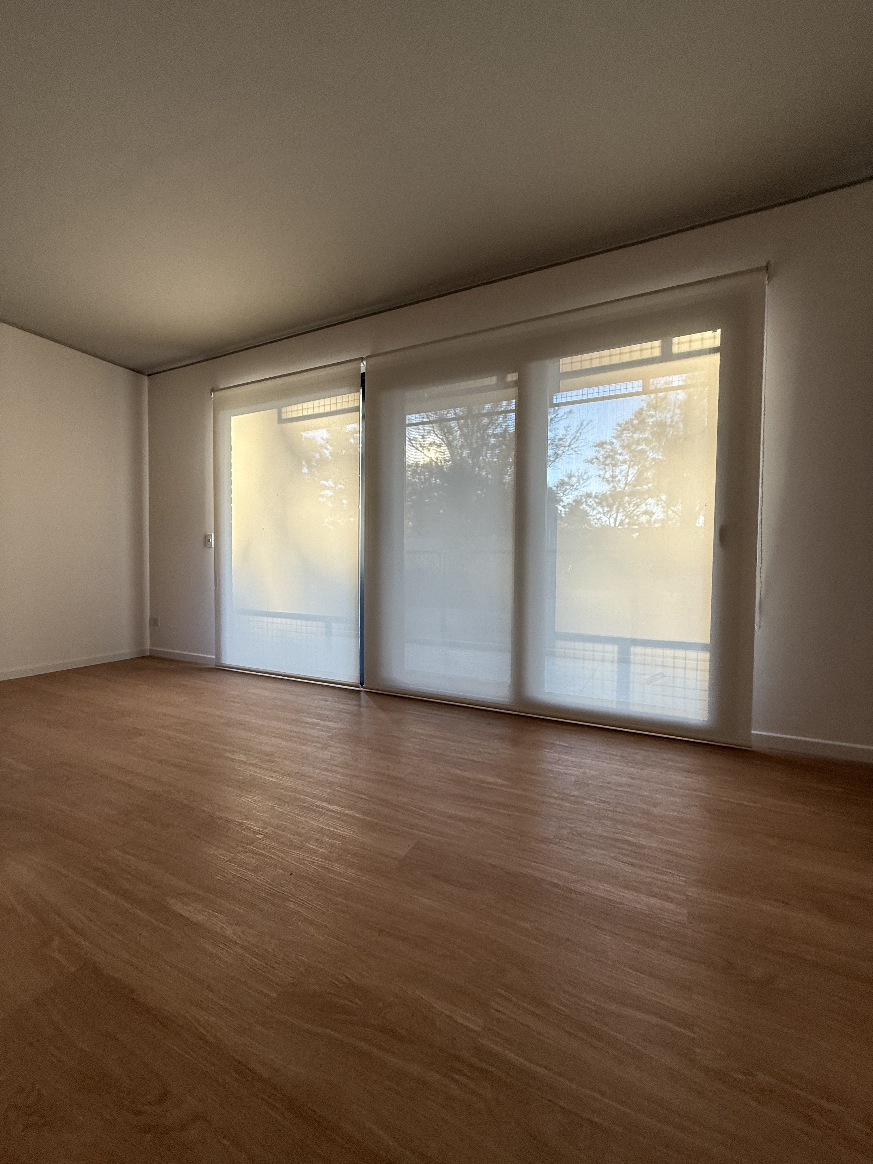 Cortinas Roller